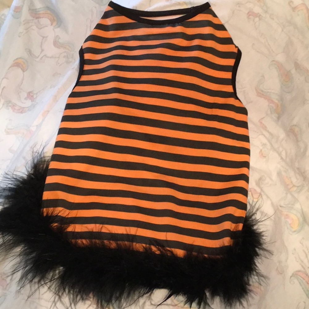 Halloween dog dress